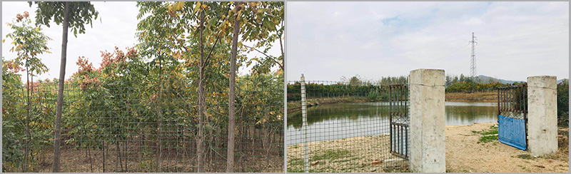 ///upload/image/20181020/15400041057903501.jpg 1.jpg